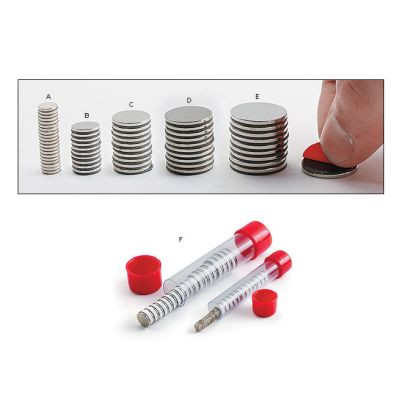 Magnet D, 5/8", Pack of 10